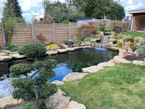 Pond Cleaning in Surrey – Professional Pond Care for Clear, Healthy Water